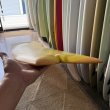 画像9: 【Todd Pinder】Fish Simmons 7’10”　Angelo resin Artwork