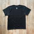画像1: 【JULY WETSUITS】Basic Tee