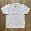 画像1: 【JULY WETSUITS】Basic Tee
