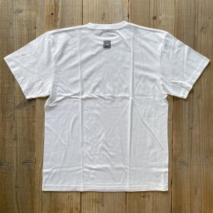 画像: 【JULY WETSUITS】Basic Tee
