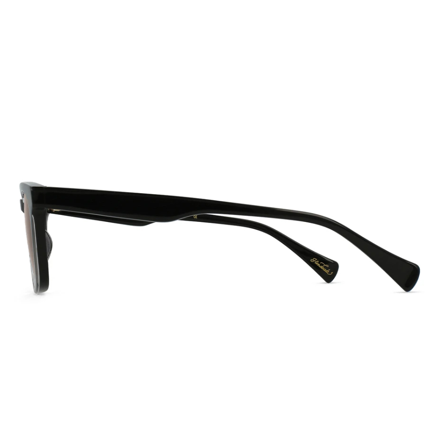 画像3: 【RAEN/レイン】Hirsch/CRYSTAL BLACK/SMOKE BROWN POLARIZED