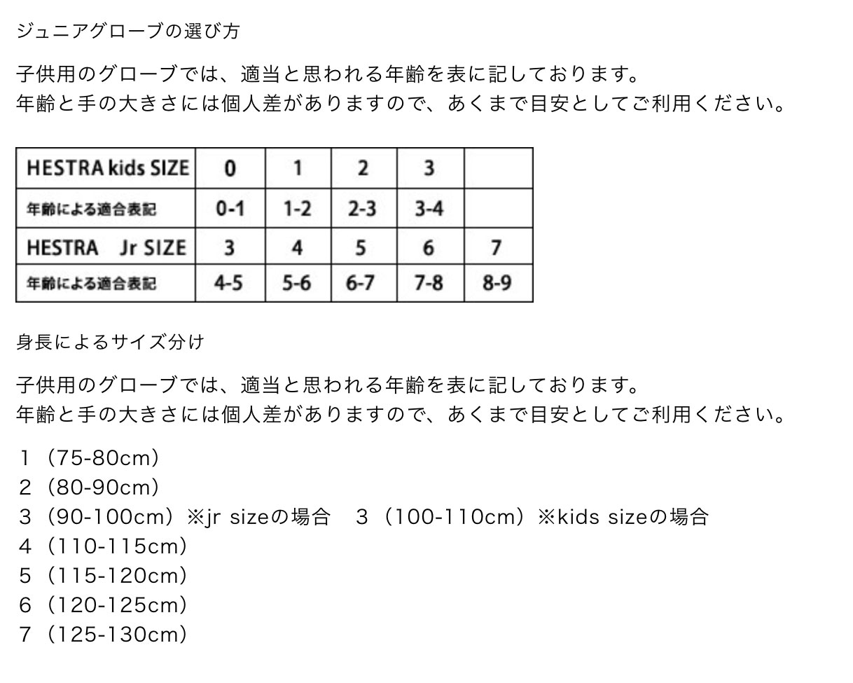 画像2: 【HESTRA/ヘストラ】TOUCH POINT FLEECE JR/Black