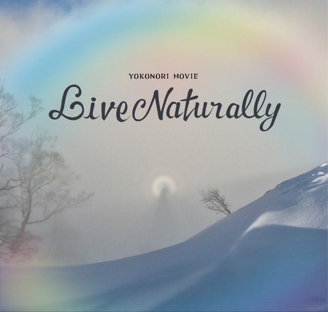 画像1: DVD【Live Naturally6】